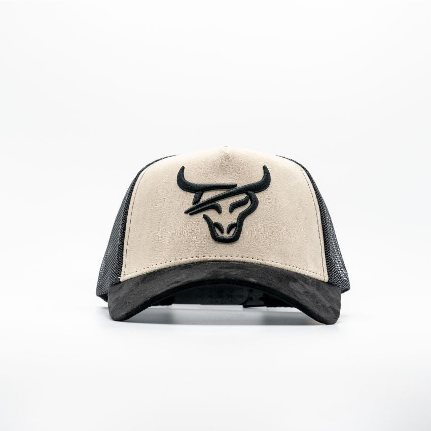 Gorra Under Armour Project Rock