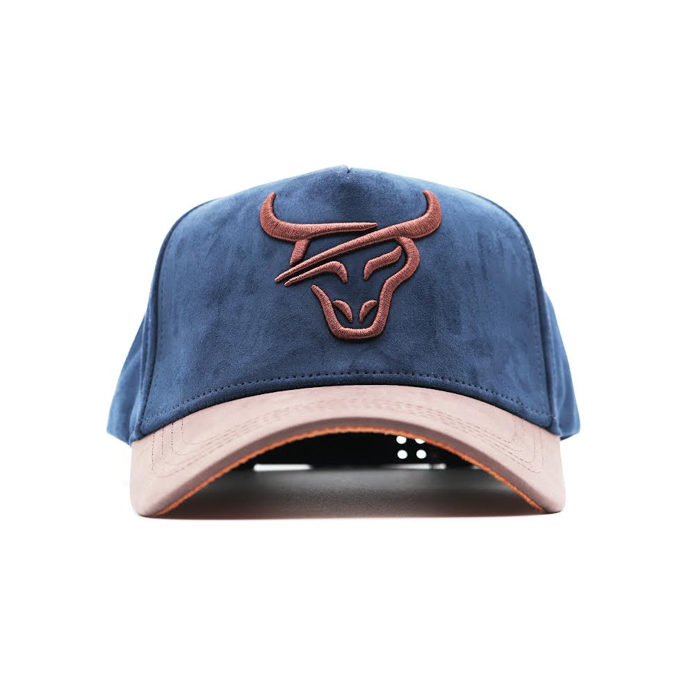 HONKER CLUB HAT BLUE/BROWN